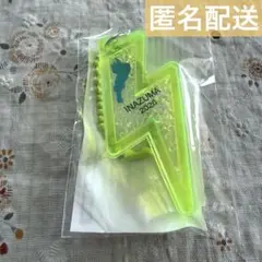 フェストイナズマ 会場限定 琵琶湖キーホルダー イエロー×チェーン緑