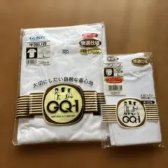 未使用 グンゼ GQ-1 半袖U首 ブリーフ Lサイズ 2点セット