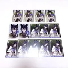 マレウス おめかし バースデー カード ウエハース ツイステ