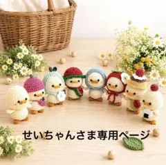 フェリッシモ 季節のあみぐるみ 全12種類 - メルカリ