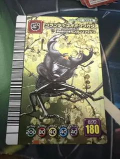 グランディスオオクワガタ　5周年