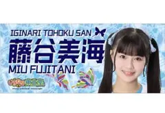 2025年最新】いぎなり東北産 タオルの人気アイテム - メルカリ