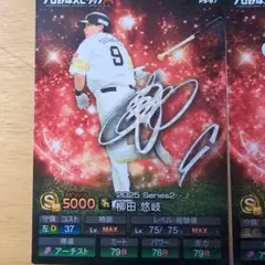 プロスピチップス サイン箔押し キラカード ネビン 西武 プロ野球