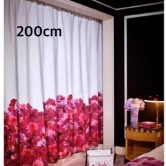 2025年最新】rady リゾフラの人気アイテム - メルカリ