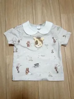値下げ‼️cottoli バースデイ　Tシャツ　80 かなり美品