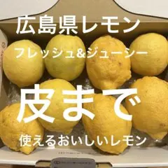 広島県産レモン8個のサムネイル