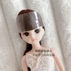 Item thumbnail for item ce5e7fe8-e96e-4e1b-9e8b-6498e9df04fd