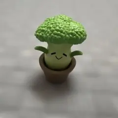 ブロッコリー