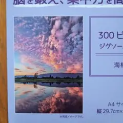 300ピース ジグソーパズル 海柄 A4サイズ