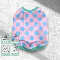 Item thumbnail for item 6d20decc-dbef-40fc-8ef8-0aac6e9efc65