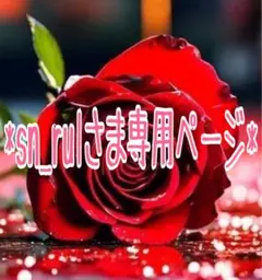 *sn_rulさま専用ページ*