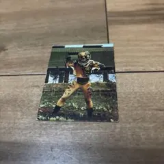 イモリギャラン カード 273