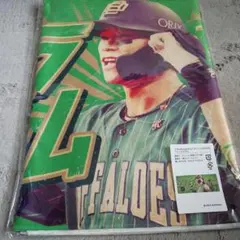 Item thumbnail for item e372730e-0b18-40f0-acf3-139359d98c34