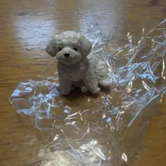 おすわりーぬ　マルチーズ　まるちーぬ　おすわりぬいぐるみ ガシャポン
