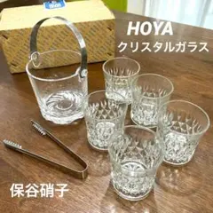 2026年最新】hoya アイスペールの人気アイテム - メルカリ