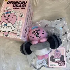 【まるちゃん様専用】TOPTOY 海外限定　おぱんちゅうさぎ　ブラインドボックス