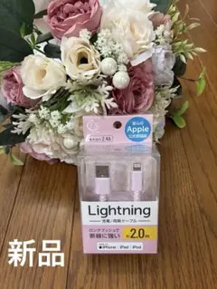 【新品】Apple公式認証 USB-A to Lightningケーブル 2m