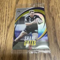 Item thumbnail for item 969b5871-14f1-4f07-b8b2-393737c21ee8