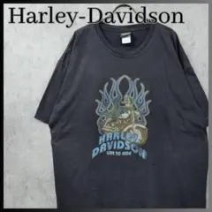 dunhill ゴルフ 赤 ポロシャツ イタリア製 綿100% Tシャツ M - メルカリ