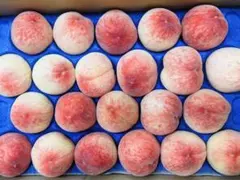 香川産 もも 桃 白鳳 小玉20玉前後約3キロ（箱込）のサムネイル