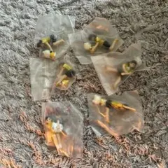 コップのフチ子さん　大阪　キティー　6体セット