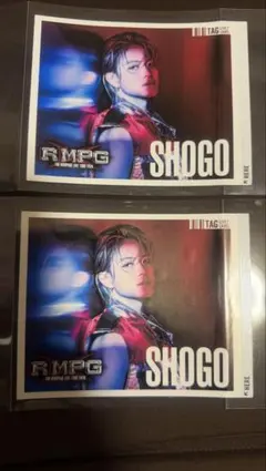 TheRAMPAGE ランペ缶　ラベルステッカー 岩谷翔吾 2枚