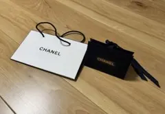 CHANEL ギフト袋 大小セット