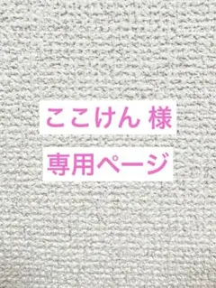 【ここけん 様　専用ページ】