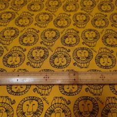 Item thumbnail for item 9606153e-7e2e-4e5e-8273-52f120f695ee