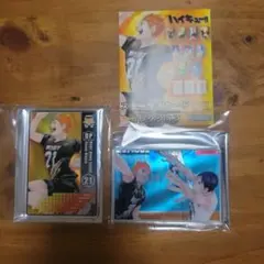 ハイキュー!!ステータスカード コレクション シークレット&日向翔陽