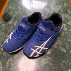 Item thumbnail for item 6603a5f0-8c67-445c-805e-b6b4a2d25016