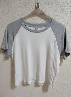 UNIQLO ユニクロ ミニT ラグラン グレー