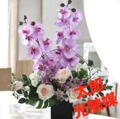 光触媒　人工観葉植物　ウォールグリーン　フェイクグリーン　満月