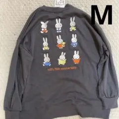 ミッフィートレーナー
