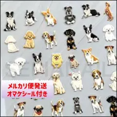 5D ネイルシール ステッカー ワンちゃん 犬【5DTS49】