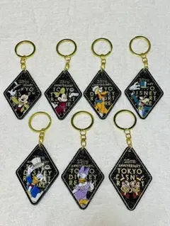 ☆ディズニーストア 25周年 シークレットキーチェーン 7種 フルコンプ☆