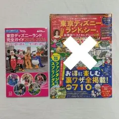 ディズニーランド　ガイドブック
