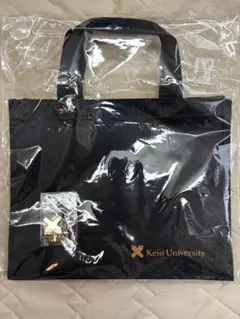 Item thumbnail for item e19e6916-787a-4a62-a892-fdf6f9459f1a