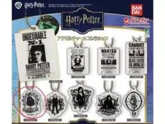 ハリー・ポッターアクリルチャームコレクション