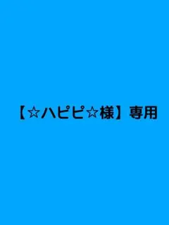 【☆ハピピ☆様】専用