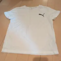 PUMA キッズ Tシャツ ホワイト
