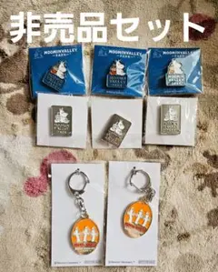 ムーミンバレーパーク　非売品　ピンバッジ　キーホルダー　セット