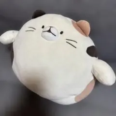 BOYNEXTDOOR ボネクド プネクド CATBBI ケッピ ぬいぐるみ - メルカリ
