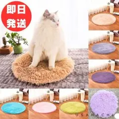 ねこまんま⭐プロフ必読様 リクエスト 2点 まとめ商品