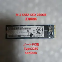SanDisk M.2 SATA SSD 256GB Type2280 正常診断