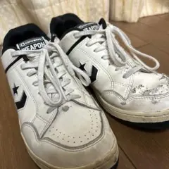 Item thumbnail for item a4500f70-3d64-48b8-981d-cf28d542e1d1