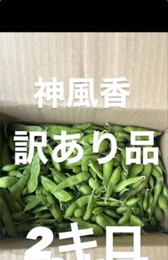 5 訳あり品 枝豆 神風香 5キロ 有機肥料 - メルカリ