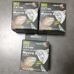 Item thumbnail for item f6041afa-fbe0-41dc-bb15-896aa562ac44