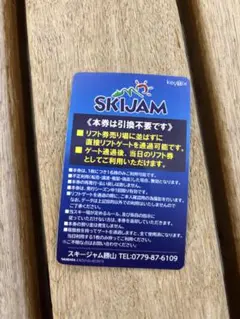 スキージャム勝山　大人用 早割券 引換不要