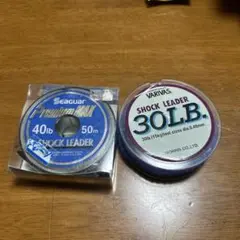 Seaguar Premium MAX 40lb50m バリバス30lbリーダー